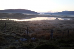 Early morning mist in Bayhead