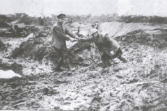 Stuck in the Mud, WW1 trenches